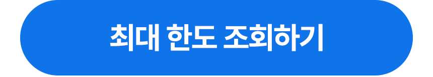 최대 한도 조회하기